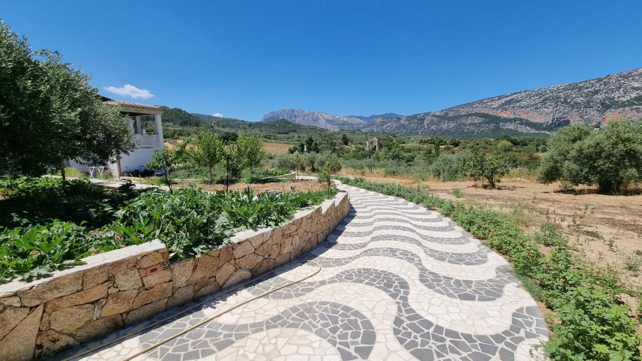 Villa Biriculi Dorgali Exterior photo
