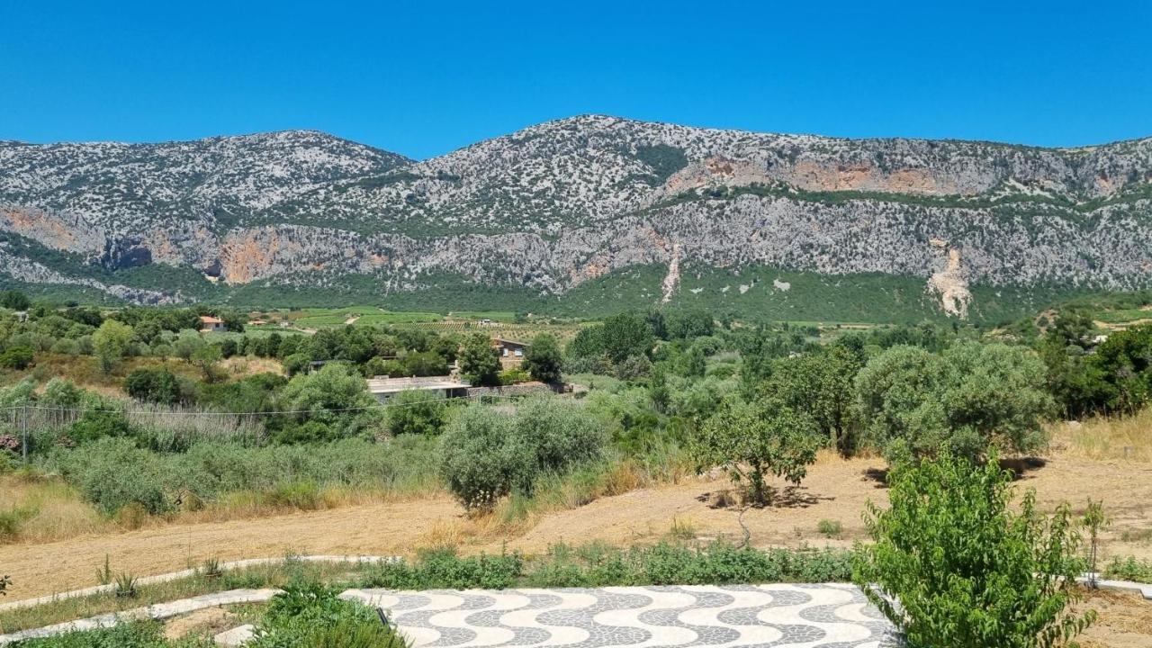 Villa Biriculi Dorgali Exterior photo